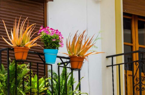 Best Balcony Railing Designs For Indian Homes