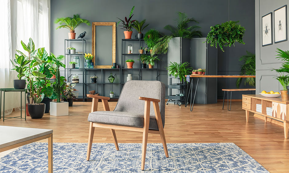 A sleek, eco-friendly living room, which is full of plants and looks lush green