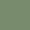 Prairie Green 21003